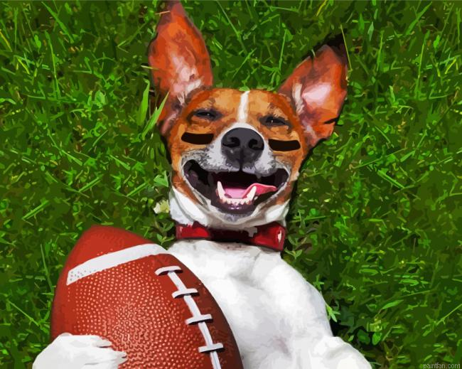 Sport Dog Paint By Numbers.png