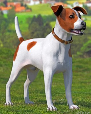 Spotted Jack Russell Terrier Paint By Number.png