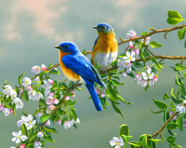 Spring Bluebirds Paint By Numbers.png
