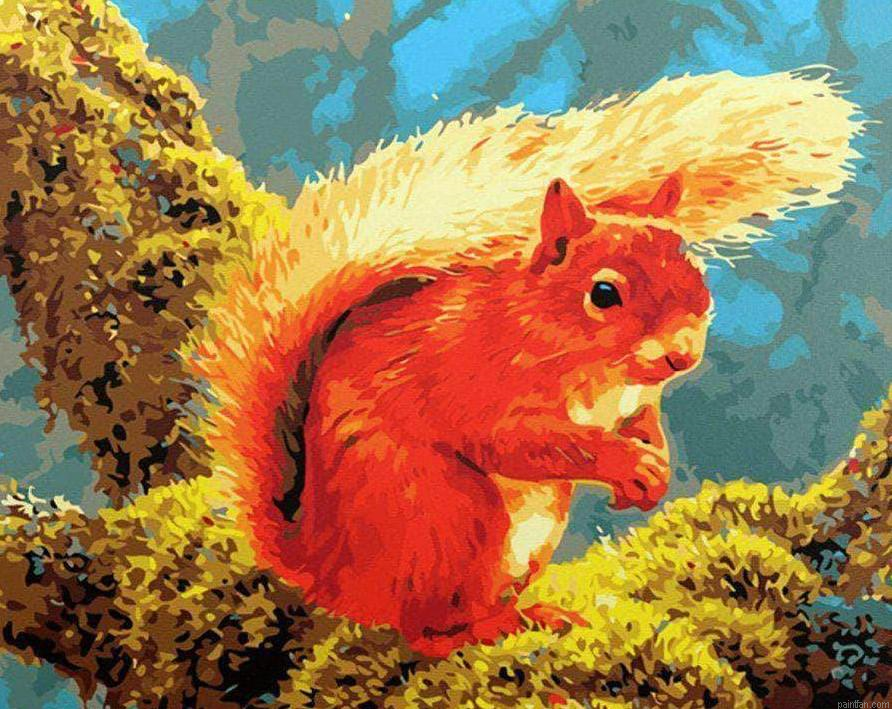 Squirrel Animal Paint By Numbers.png