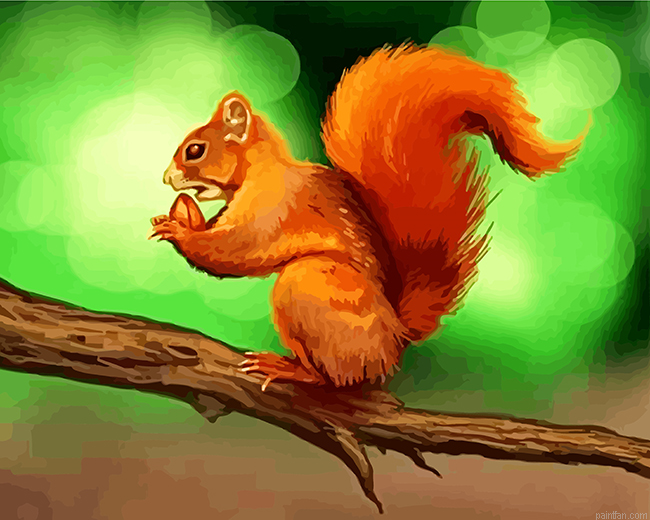 Squirrel On The Tree Paint By Number.png