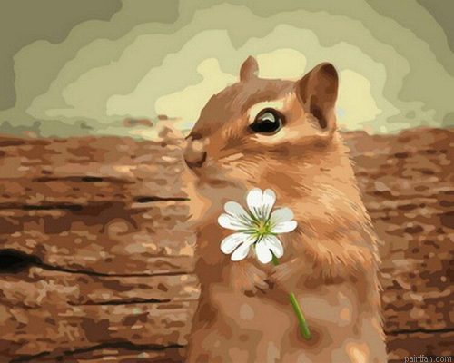 Squirrel With Flower Paint By Numbers.png