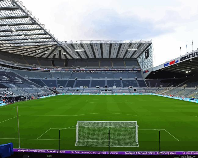 St James Park Paint By Numbers.png