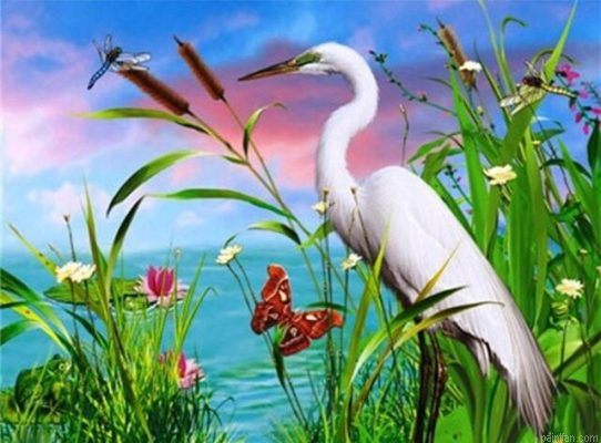 Stork On Lakeside Paint By Numbers.png