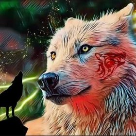 Storm Wolf Animals Paint By Numbers.png