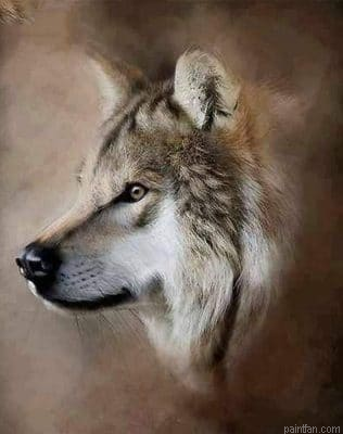 Storm Wolf Paint By Numbers.png