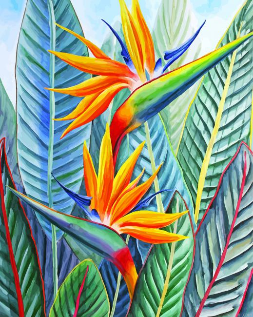 Strelitzia Bird Of Paradise Paint By Number.png