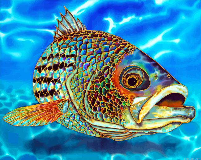 Striper Fish Paint By Number.png