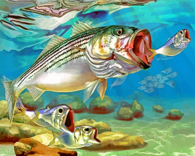 Striper Fish Underwater Paint By Number.png