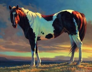 Strong Horse Paint By Numbers.png