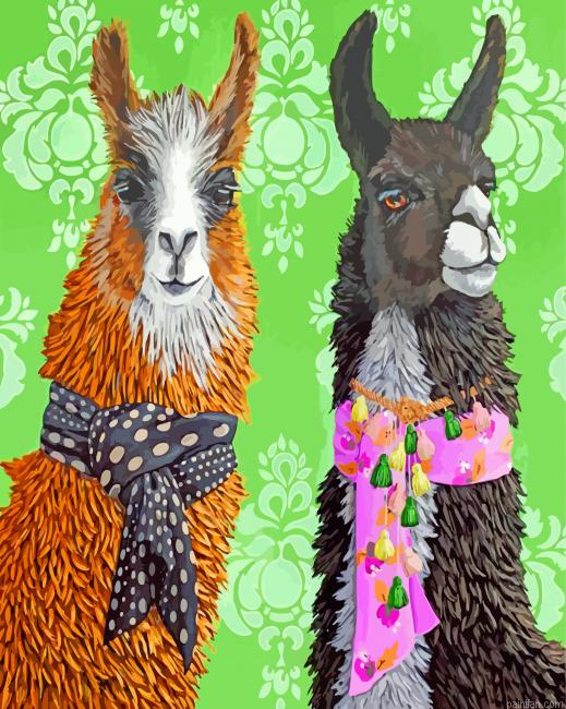 Stylish Alpacas Paint By Numbers.png