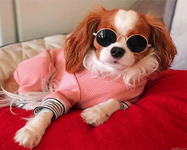 Stylish Cavalier Puppy Paint By Number.png