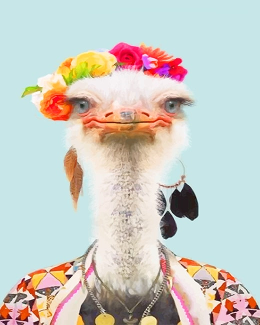 Stylish Common Ostrich New Paint By Numbers.png