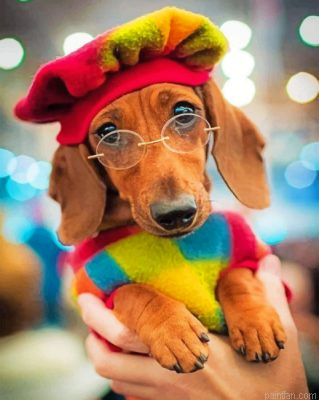 Stylish Dachshund Paint By Number.png