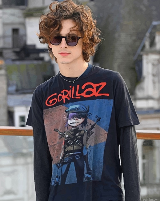Stylish Timothee Chalamet New Paint By Numbers.png