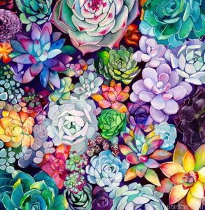 Succulent Garden Paint By Numbers.png