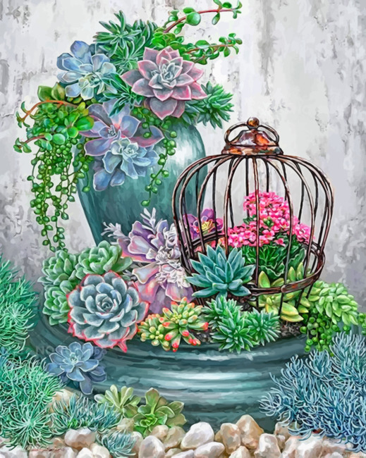 Succulent Plants Garden Paint By Numbers.png