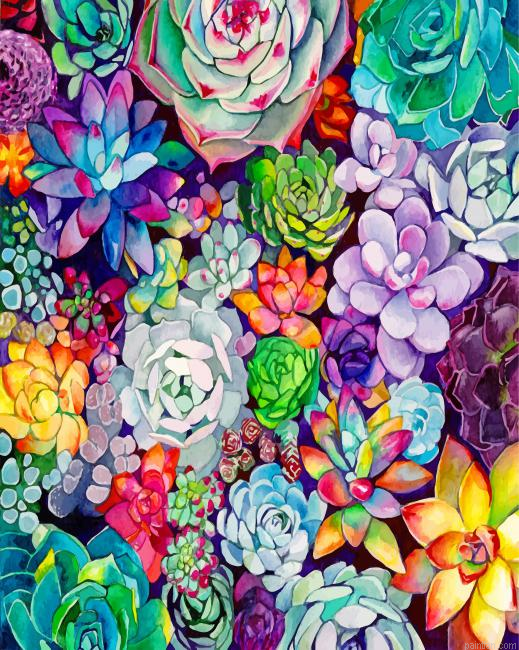 Succulents Plants Paint By Number.png