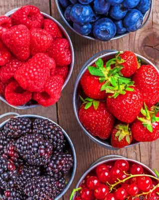 Summer Fruits Paint By Number.png