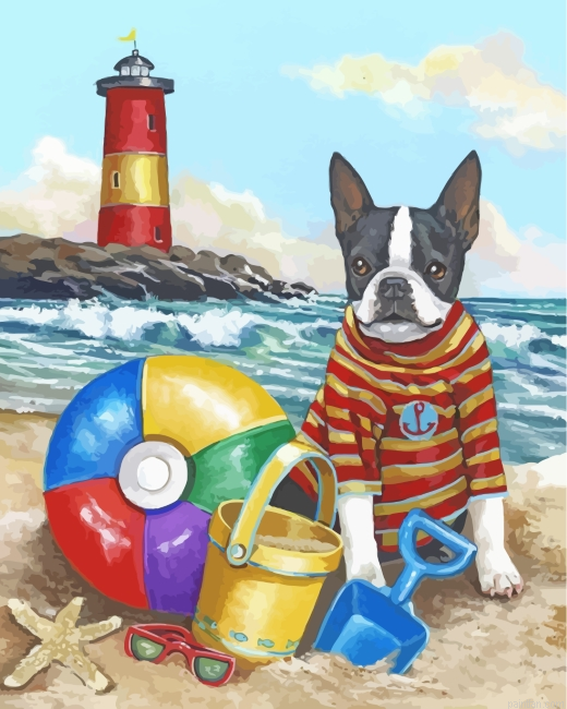 Summertime With Boston Terrier Paint By Number.png