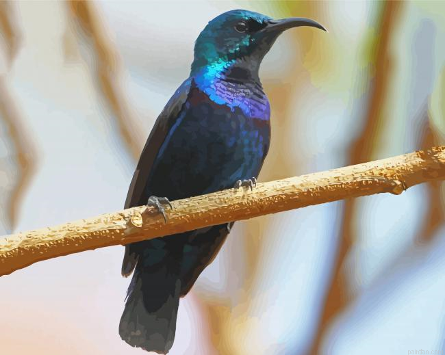 Sunbird On A Branch Paint By Numbers.png