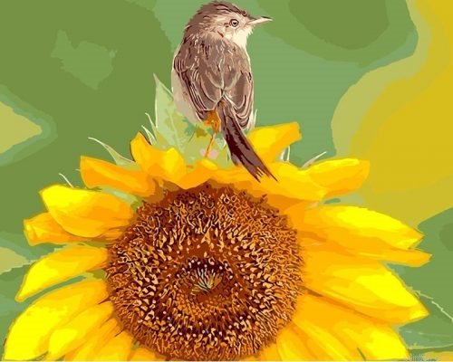 Sunflower And Bird Paint By Numbers.png