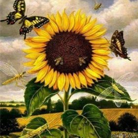 Sunflower Butterflies Paint By Numbers.png