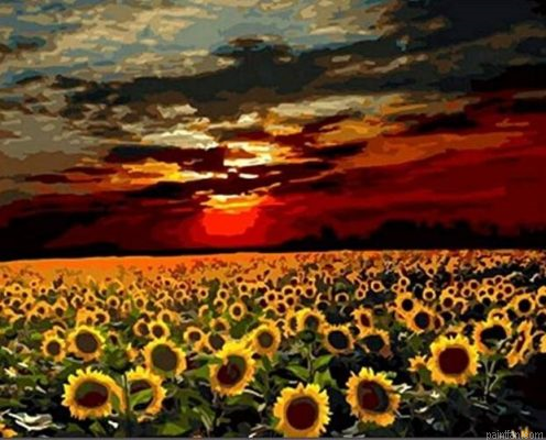 Sunflower Field Paint By Numbers.png