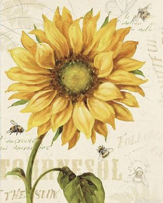 Sunflower And Bee Paint By Numbers.png