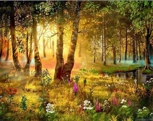 Sunlight Forest Paint By Numbers.png