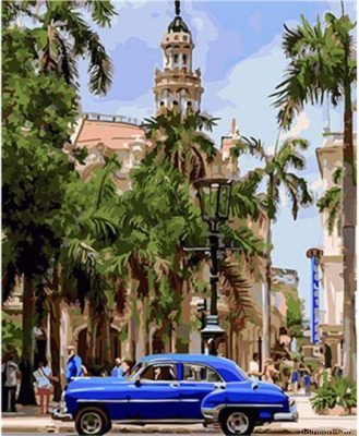 Sunny Havana Paint By Numbers.png