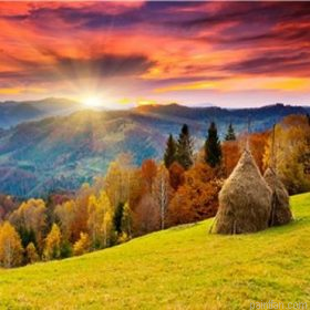 Sunrise Scenery Paint By Numbers.png