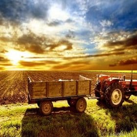Sunrise In Farm Paint By Numbers.png