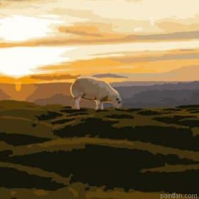 Sunrise On Sheep Paint By Numbers.png