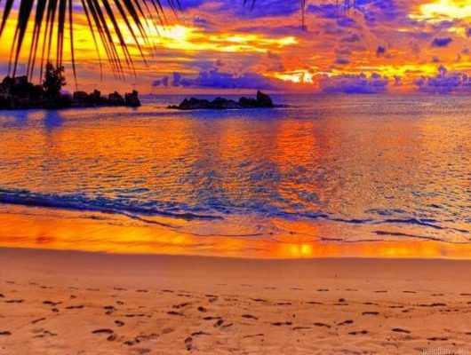 Sunset Beach Paint By Numbers.png