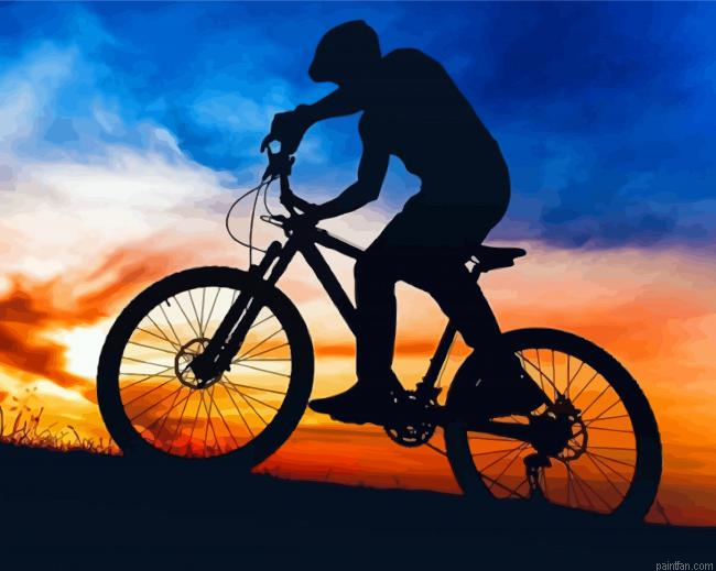 Sunset Bicycle Tour Paint By Numbers.png