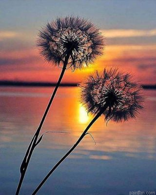 Sunset Dandelion Paint By Numbers.png