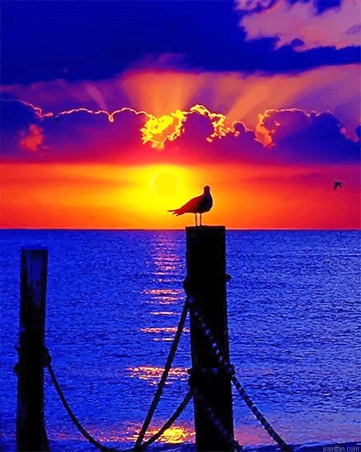 Sunset Pigeon Silhouette New Paint By Numbers.png