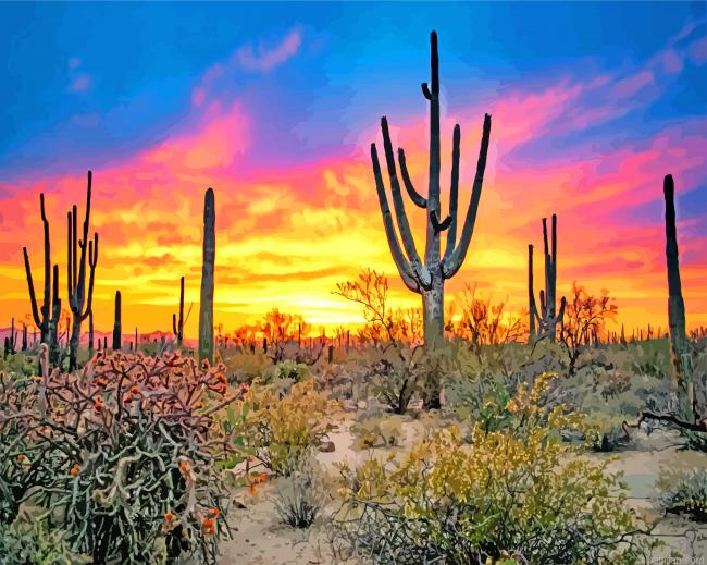 Sunset Saguaro National Park Tucson Paint By Numbers.png