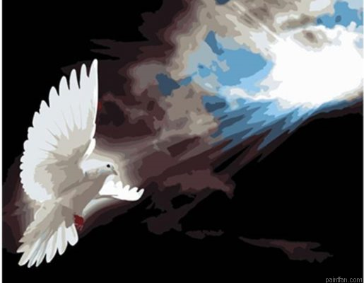Sunshine Dove Paint By Numbers.png