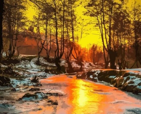 Sunshine On Forest Paint By Numbers.png