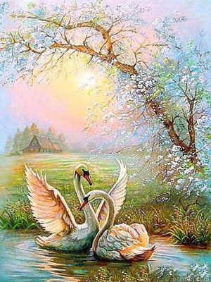 Swan Birds Paint By Numbers.png