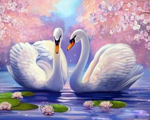 Swan Couple Paint By Numbers.png