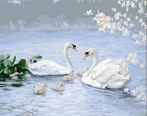 Swan Family Paint By Numbers.png
