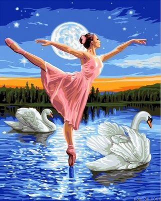 Swan And Ballerina Paint By Numbers.png