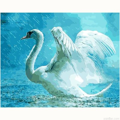 Swan In Rain Paint By Numbers.png