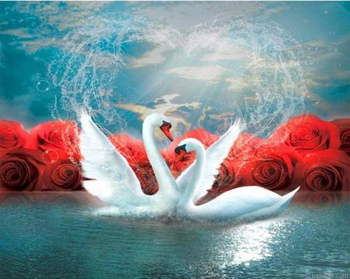 Swans Love Paint By Numbers.png