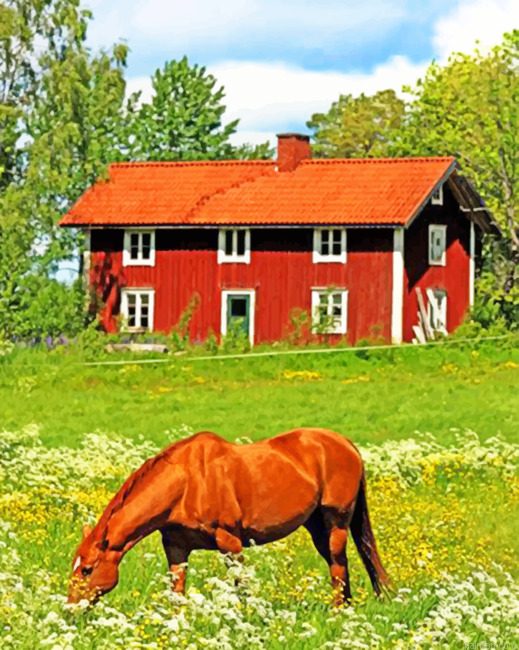 Sweden Farm Paint By Numbers.png