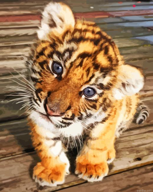 Sweet Baby Face Tiger Paint By Numbers.png