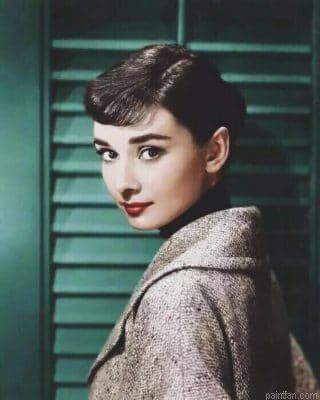 Sweet Hepburn Paint By Numbers.png